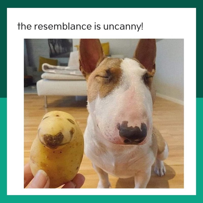 the resemblance is uncanny!