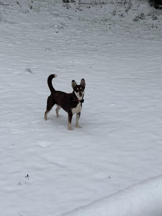 Cheezburger Image 10608659712