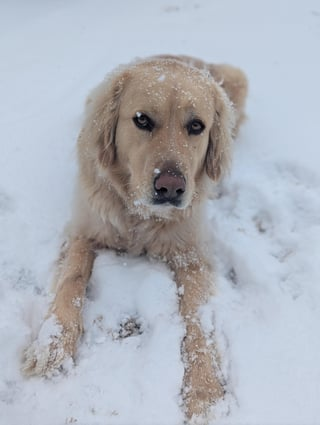 Cheezburger Image 10608659968