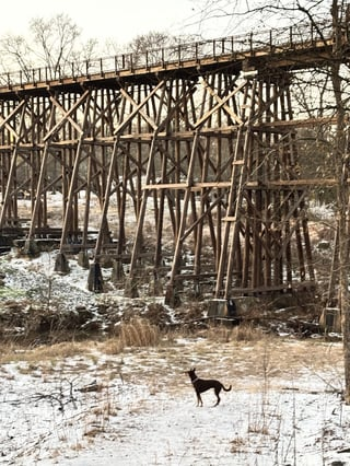 Cheezburger Image 10608661248