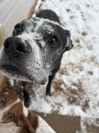 Cheezburger Image 10608662784