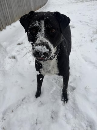 Cheezburger Image 10608663808