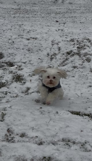 Cheezburger Image 10608664576