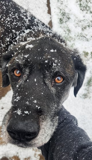 Cheezburger Image 10608664832