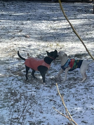 Cheezburger Image 10608665344