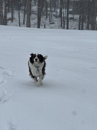 Cheezburger Image 10608665600