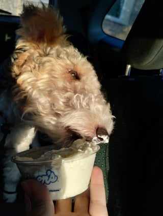 Cheezburger Image 10608668928