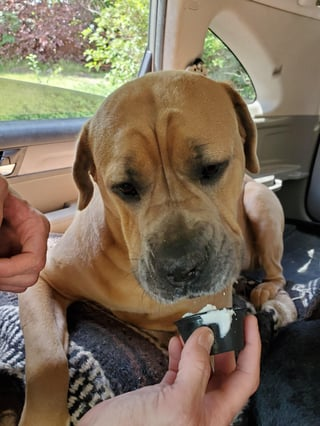 Cheezburger Image 10608669184