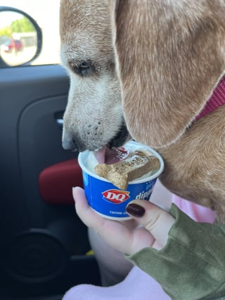DQ dip