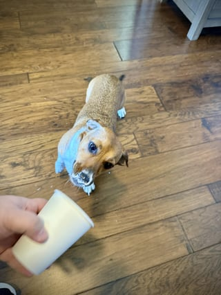 Cheezburger Image 10608672256