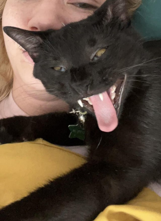 Cheezburger Image 10608712960