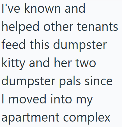 I've known and helped other tenants feed this dumpster kitty and her two dumpster pals since I moved into my apartment complex
