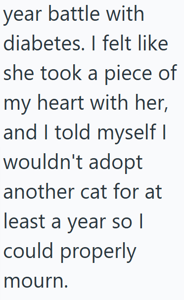 year battle with diabetes. I felt like she took a piece of my heart with her, and I told myself I wouldn't adopt another cat for at least a year so I could properly mourn.