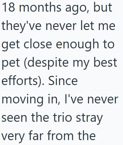 18 months ago, but they've never let me get close enough to pet (despite my best efforts). Since moving in, I've never seen the trio stray very far from the
