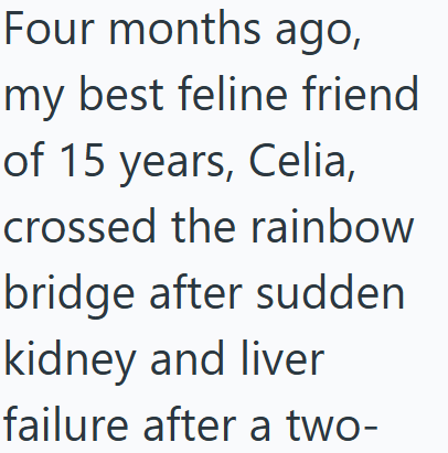 Four months ago, my best feline friend of 15 years, Celia, crossed the rainbow bridge after sudden kidney and liver failure after a two-
