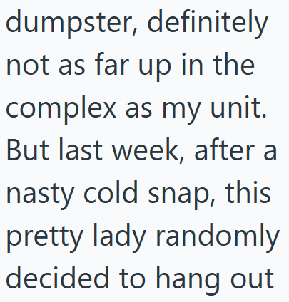 dumpster, definitely not as far up in the complex as my unit. But last week, after a nasty cold snap, this pretty lady randomly decided to hang out