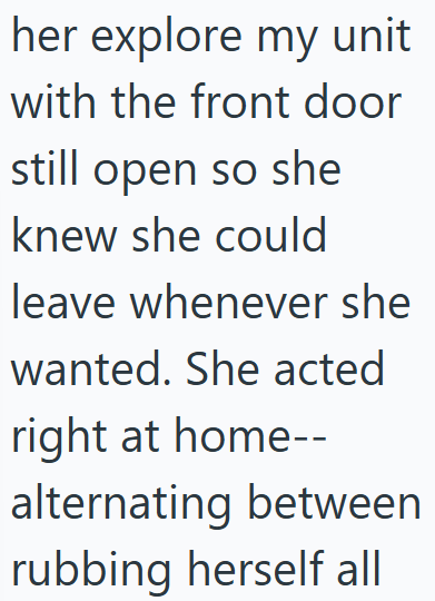 her explore my unit with the front door still open so she knew she could leave whenever she wanted. She acted right at home-- alternating between rubbing herself all