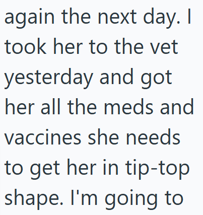 again the next day. I took her to the vet yesterday and got her all the meds and vaccines she needs to get her in tip-top shape. I'm going to