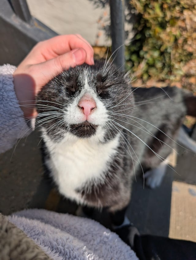 Cheezburger Image 10608721920