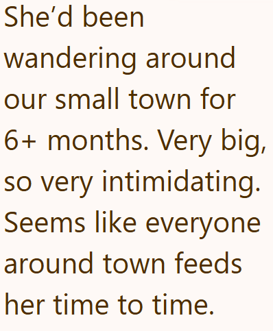 She'd been wandering around our small town for 6+ months. Very big, so very intimidating. Seems like everyone around town feeds her time to time.