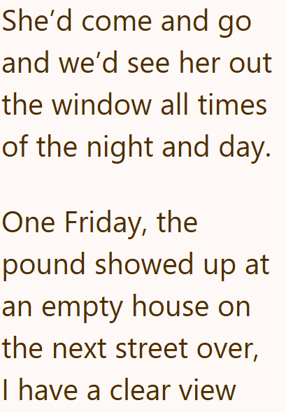 She'd come and go and we'd see her out the window all times of the night and day. One Friday, the pound showed up at an empty house on the next street over, I have a clear view