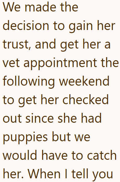We made the decision to gain her trust, and get her a vet appointment the following weekend to get her checked out since she had puppies but we would have to catch her. When I tell you