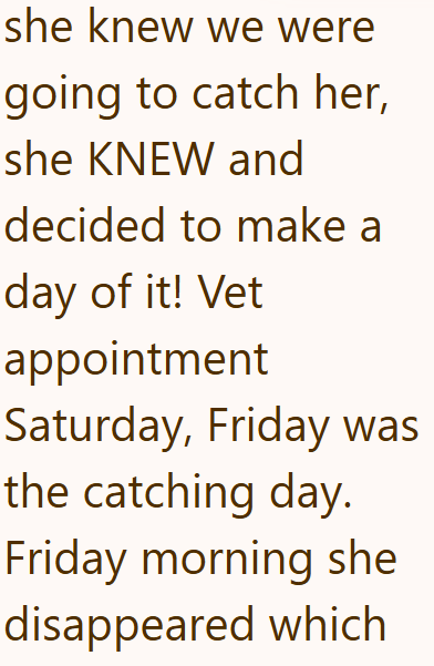 she knew we were going to catch her, she KNEW and decided to make a day of it! Vet appointment Saturday, Friday was the catching day. Friday morning she disappeared which