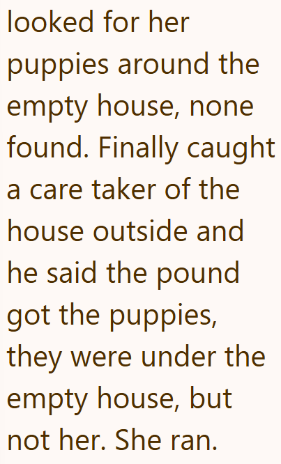 looked for her puppies around the empty house, none found. Finally caught a care taker of the house outside and he said the pound got the puppies, they were under the empty house, but not her. She ran.