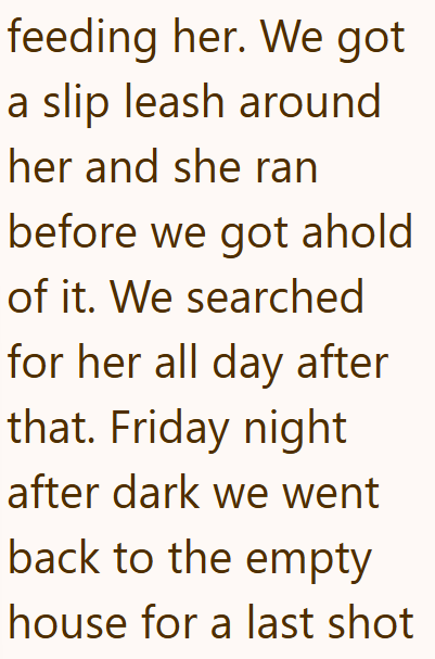 feeding her. We got a slip leash around her and she ran before we got ahold of it. We searched for her all day after that. Friday night after dark we went back to the empty house for a last shot