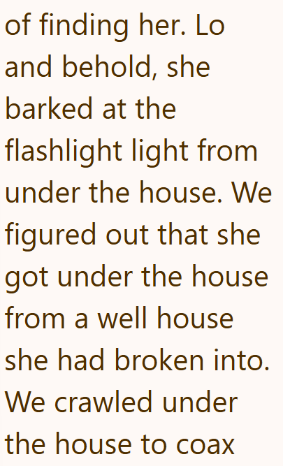 of finding her. Lo and behold, she barked at the flashlight light from under the house. We figured out that she got under the house from a well house she had broken into. We crawled under the house to coax