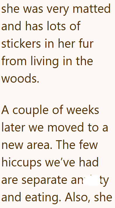 she was very matted and has lots of stickers in her fur from living in the woods. A couple of weeks later we moved to a new area. The few hiccups we've had are separate an ty and eating. Also, she