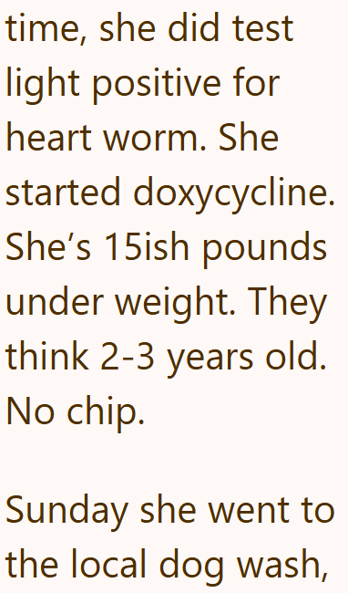 time, she did test light positive for heart worm. She started doxycycline. She's 15ish pounds under weight. They think 2-3 years old. No chip. Sunday she went to the local dog wash,