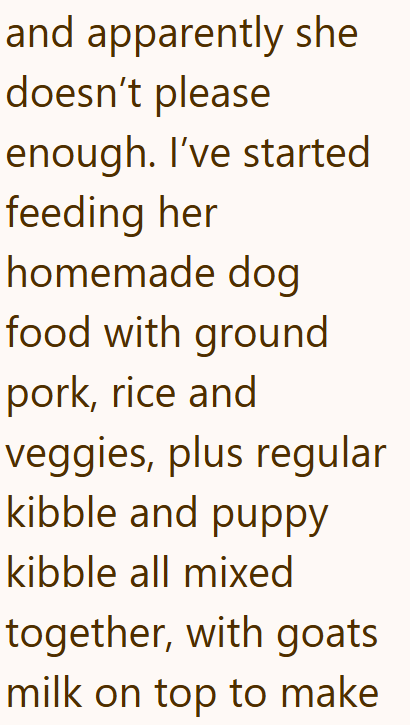 and apparently she doesn't please enough. I've started feeding her homemade dog food with ground pork, rice and veggies, plus regular kibble and puppy kibble all mixed together, with goats milk on top to make