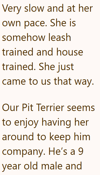 Very slow and at her own pace. She is somehow leash trained and house trained. She just came to us that way. Our Pit Terrier seems to enjoy having her around to keep him company. He's a 9 year old male and