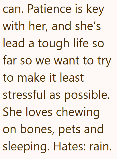 can. Patience is key with her, and she's lead a tough life so far so we want to try to make it least stressful as possible. She loves chewing on bones, pets and sleeping. Hates: rain.