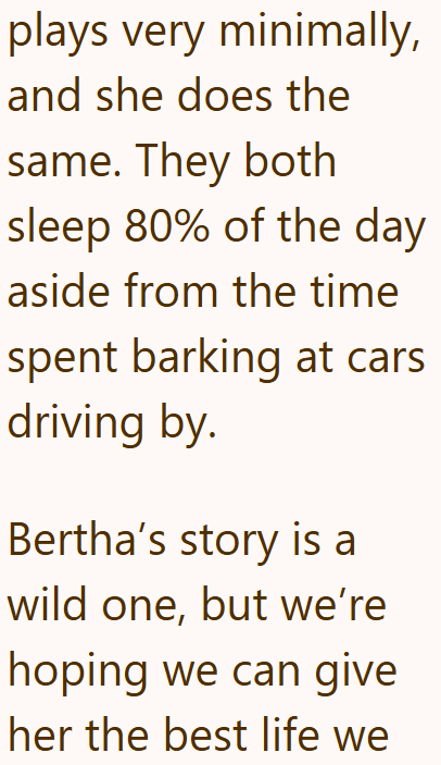 plays very minimally, and she does the same. They both sleep 80% of the day aside from the time spent barking at cars driving by. Bertha's story is a wild one, but we're hoping we can give her the best life we