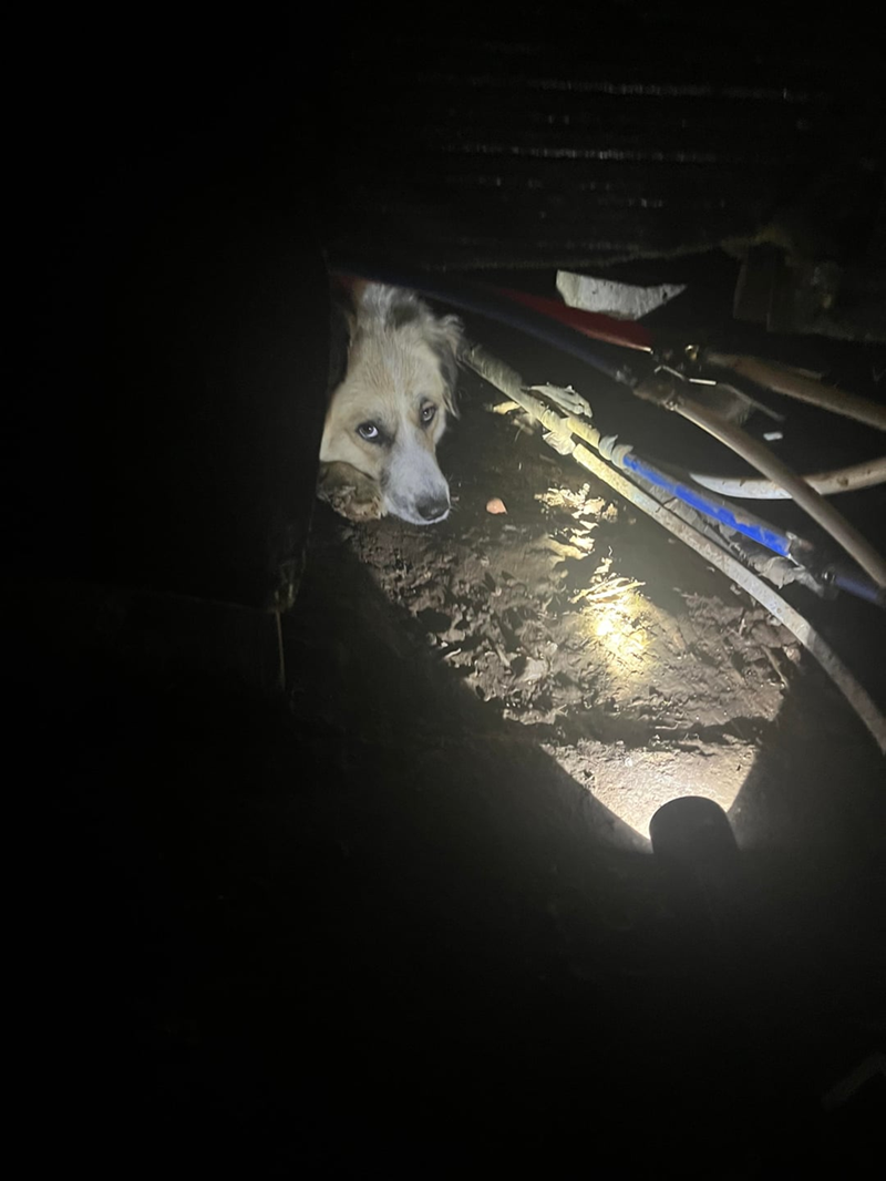 Cheezburger Image 10608737536