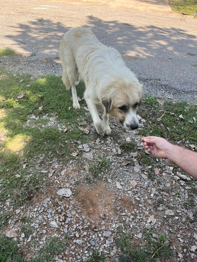 Cheezburger Image 10608738304