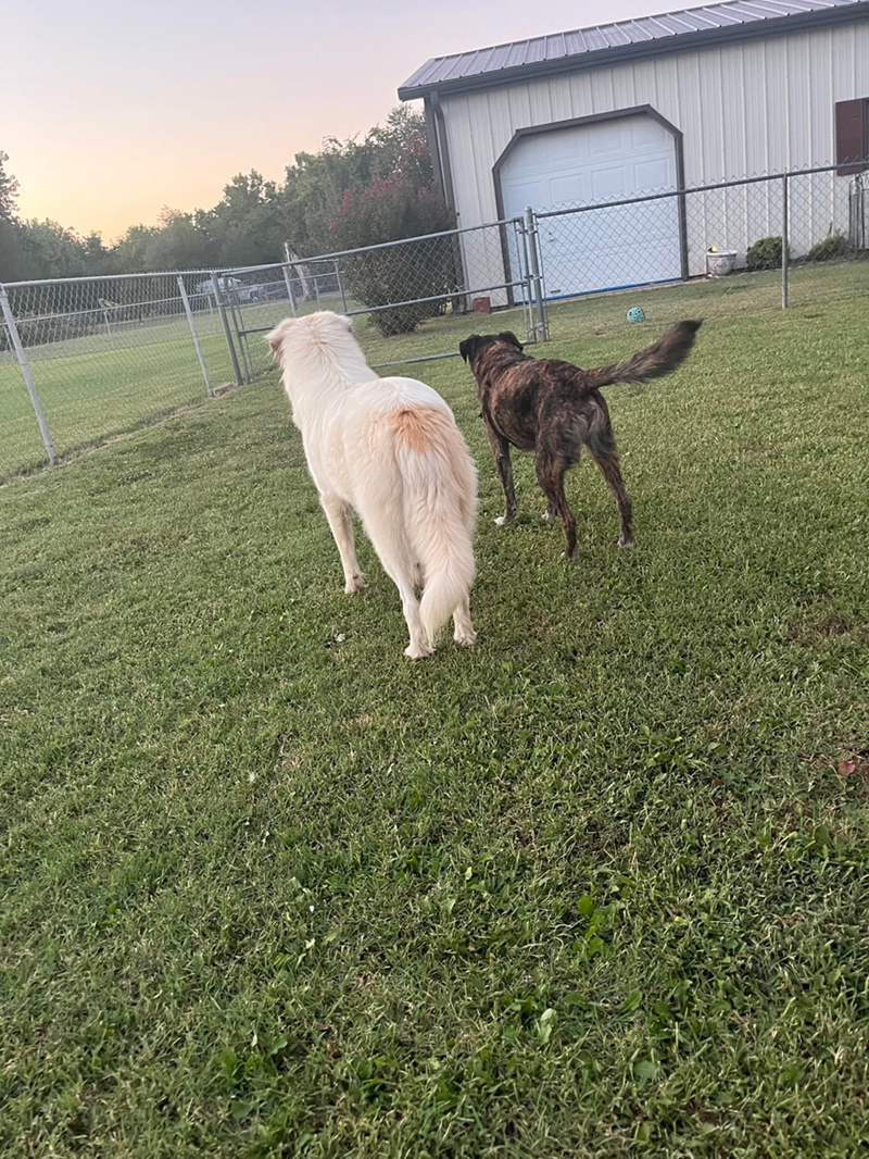 Cheezburger Image 10608738560