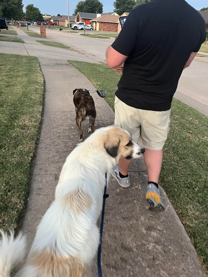 Cheezburger Image 10608739328