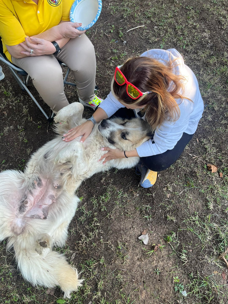 Cheezburger Image 10608739584