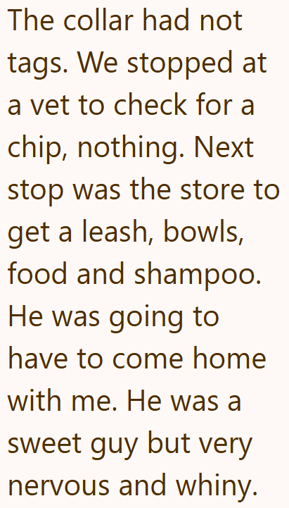 The collar had not tags. We stopped at a vet to check for a chip, nothing. Next stop was the store to get a leash, bowls, food and shampoo. He was going to have to come home with me. He was a sweet guy but very nervous and whiny.