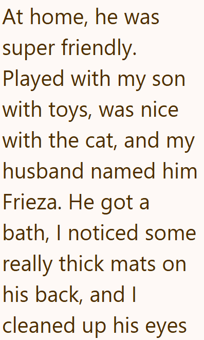 At home, he was super friendly. Played with my son with toys, was nice with the cat, and my husband named him Frieza. He got a bath, I noticed some really thick mats on his back, and I cleaned up his eyes