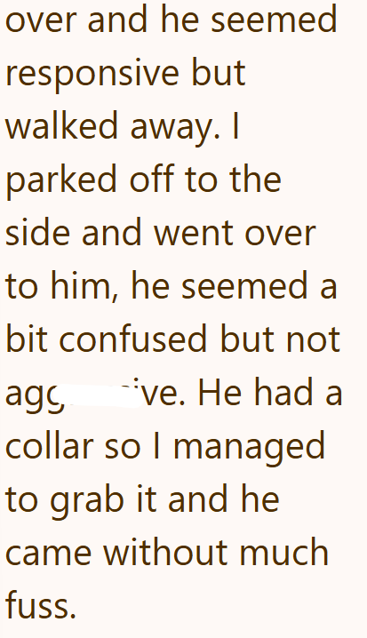 over and he seemed responsive but walked away. I parked off to the side and went over to him, he seemed a bit confused but not ag *ve. He had a collar so I managed to grab it and he came without much fuss.