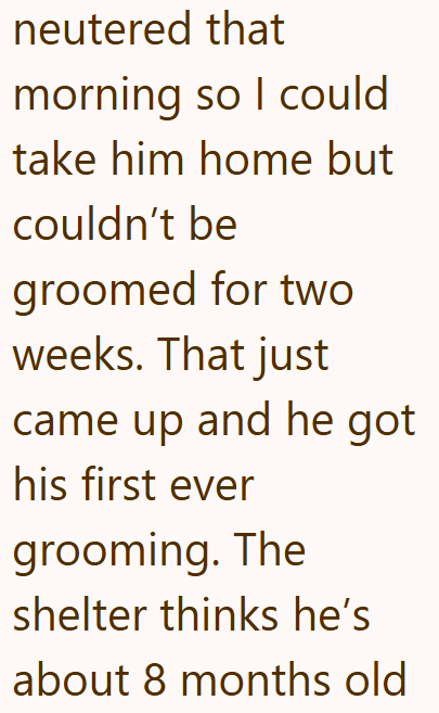 neutered that morning so I could take him home but couldn't be groomed for two weeks. That just came up and he got his first ever grooming. The shelter thinks he's about 8 months old