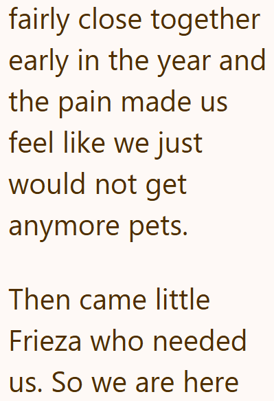 fairly close together early in the year and the pain made us feel like we just would not get anymore pets. Then came little Frieza who needed us. So we are here