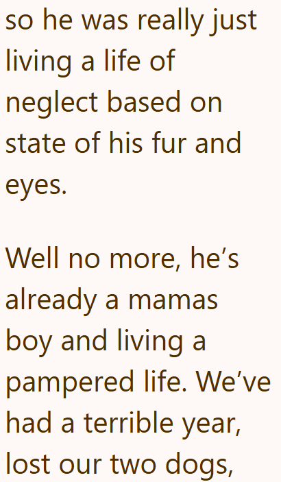 so he was really just living a life of neglect based on state of his fur and eyes. Well no more, he's already a mamas boy and living a pampered life. We've had a terrible year, lost our two dogs,