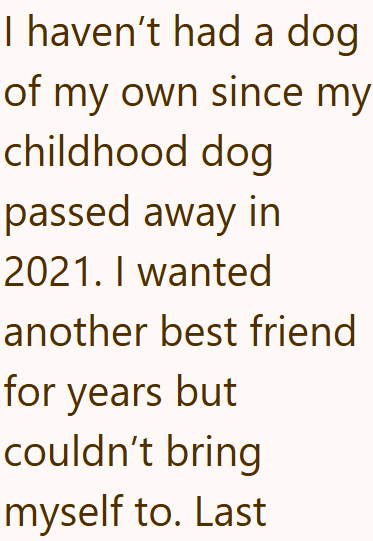 I haven't had a dog of my own since my childhood dog passed away in 2021. I wanted another best friend for years but couldn't bring myself to. Last
