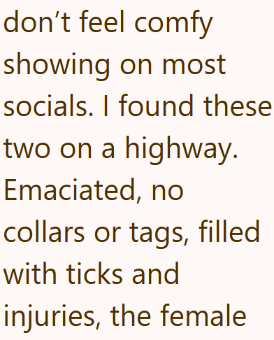 don't feel comfy showing on most socials. I found these two on a highway. Emaciated, no collars or tags, filled with ticks and injuries, the female