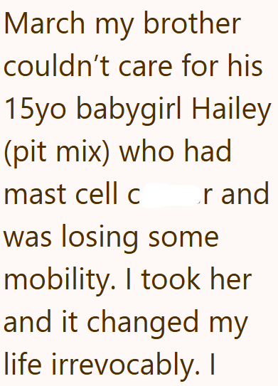 March my brother couldn't care for his 15yo babygirl Hailey (pit mix) who had mast cell c r and was losing some mobility. I took her and it changed my life irrevocably. I